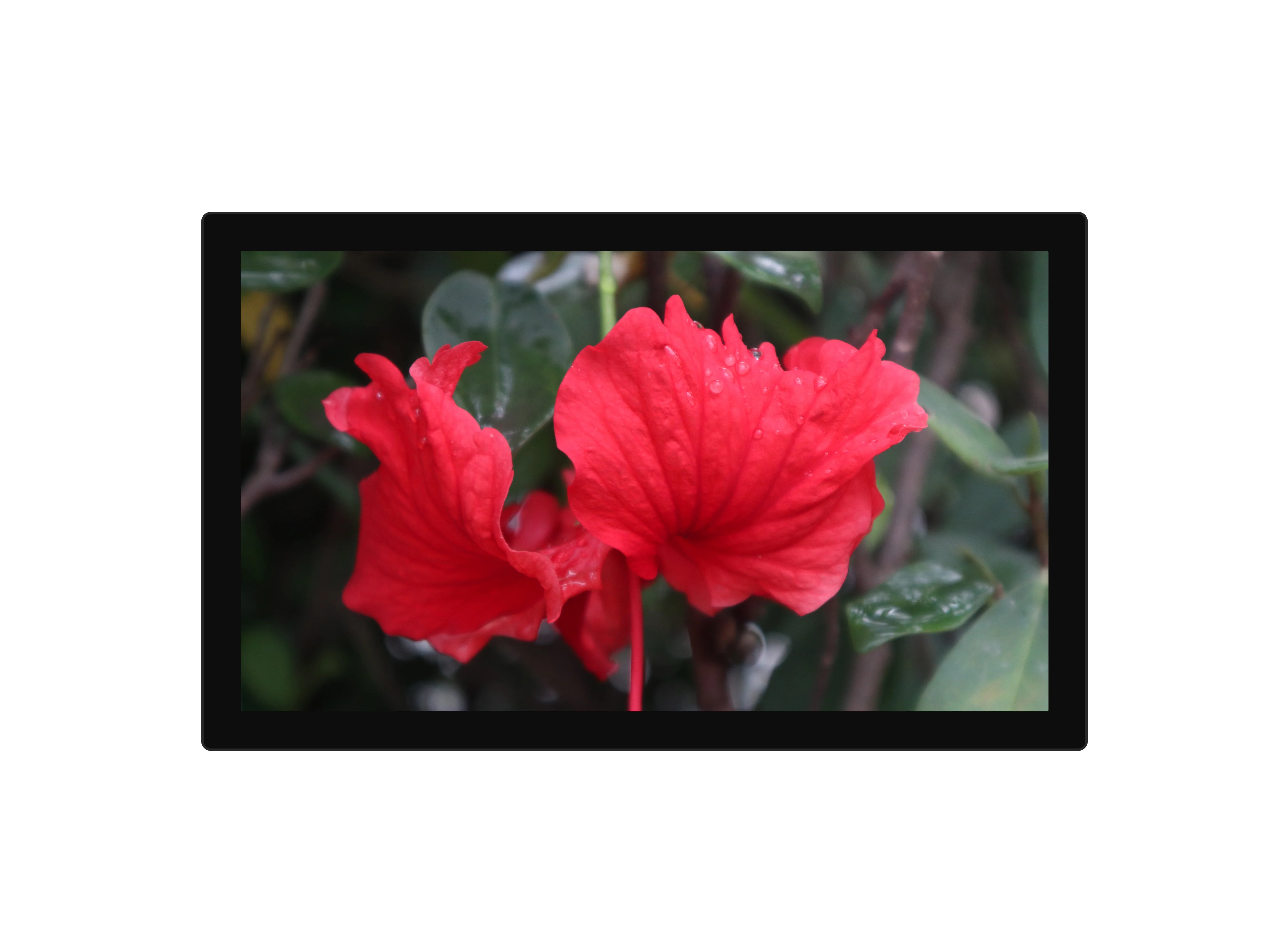 32 Inch TFT LCD LED Video Wall Panels Wall Mounted Advertising Display