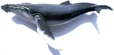 Wholesale Shark Resin Fridge Magnet Fish Animal Figurine