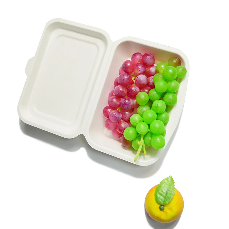 Hot Selling Disposable Benton Lunch Box Compostable Sugarcane Bagasse Food Packing Box 100% Biodegradable Food Box for Pasta
