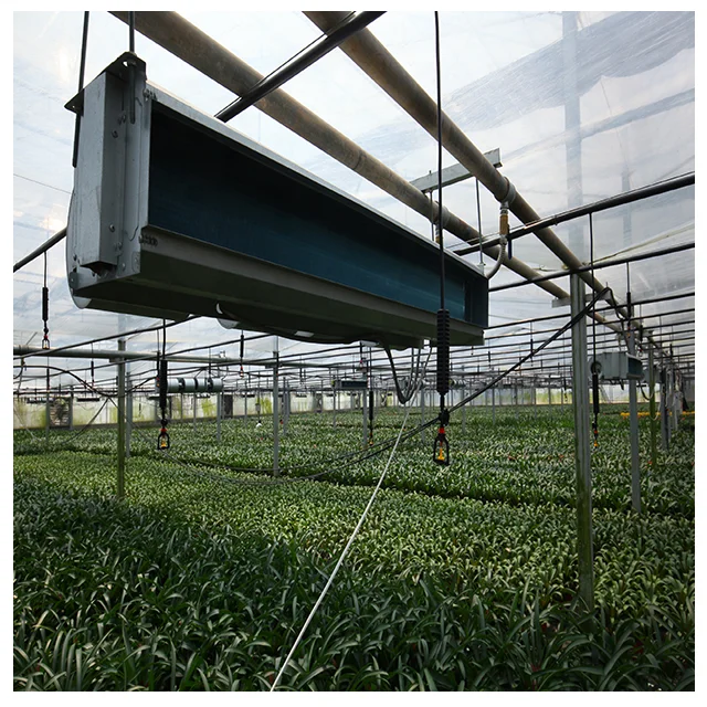 Wholesale Intelligent Climate Control System Glass Dome House Glass house Other Greenhouses For Vegetables/Flowers