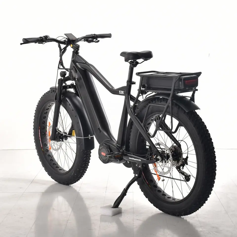 BAOLUJIE DC2028 High performance 1000W Electric Bike Fat Tire 26 inch Full color display 7 Speed E Bike