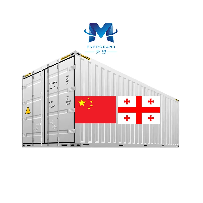 Shenzhen Logistics Agent China To Georgia Sea Freight Shipping Forwarder Door To Door Service