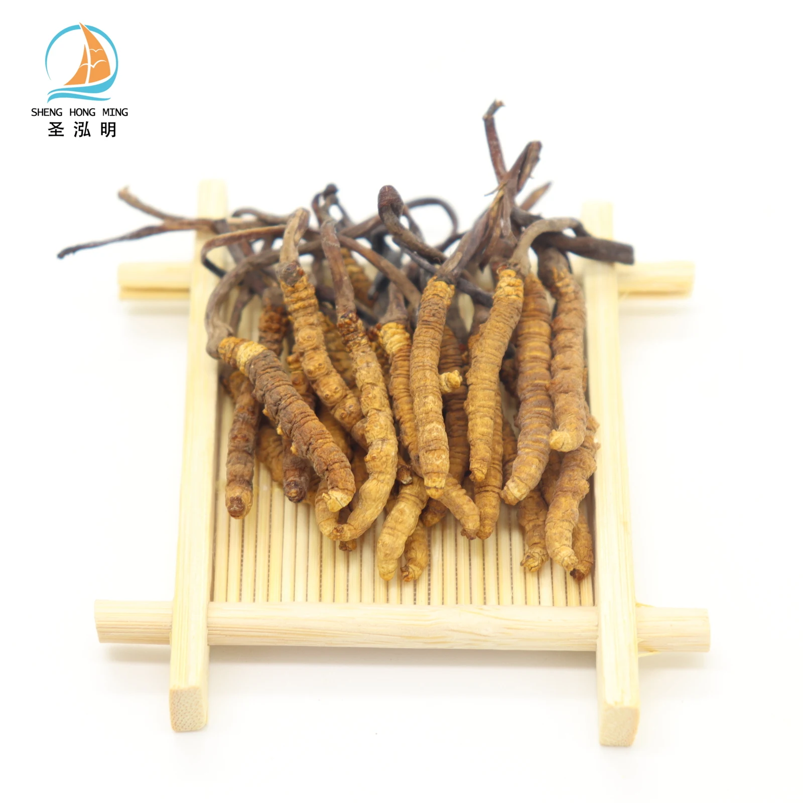 Wholesale Dried Wild Whole Plant Cordyceps Sinensis Collagen Amino Acid Cordyceps Sinensis Micelium