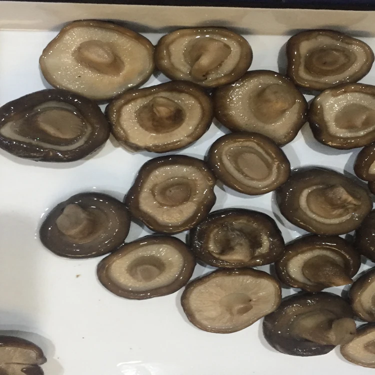 
hot sale canned slice shiitake mushroom in can 
