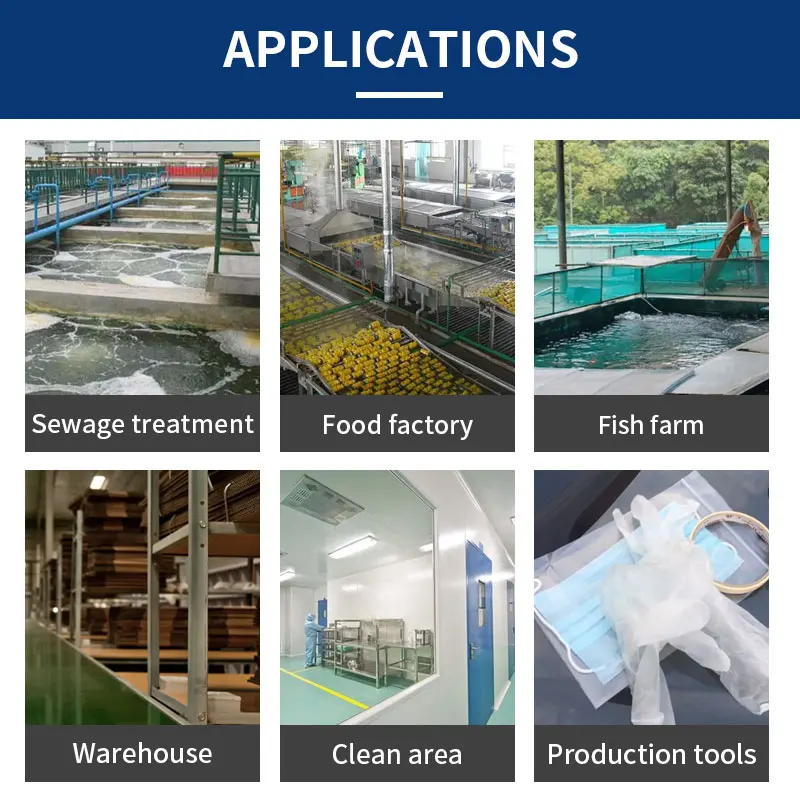 300g/h Ozone water sterilization medical waste water treatment