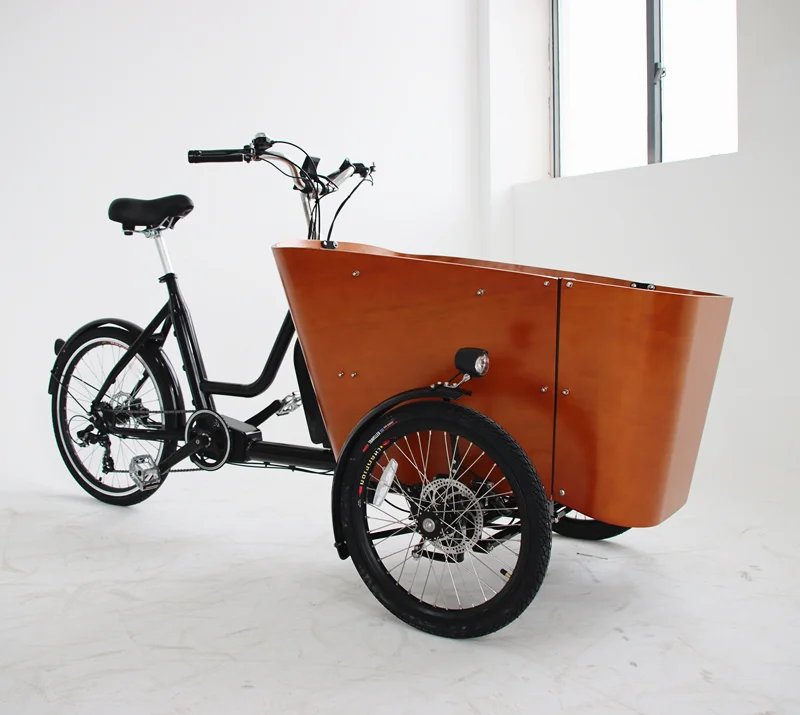 Delivery Ebike Electric Pet Camping Cargo Bike With Rear Motor