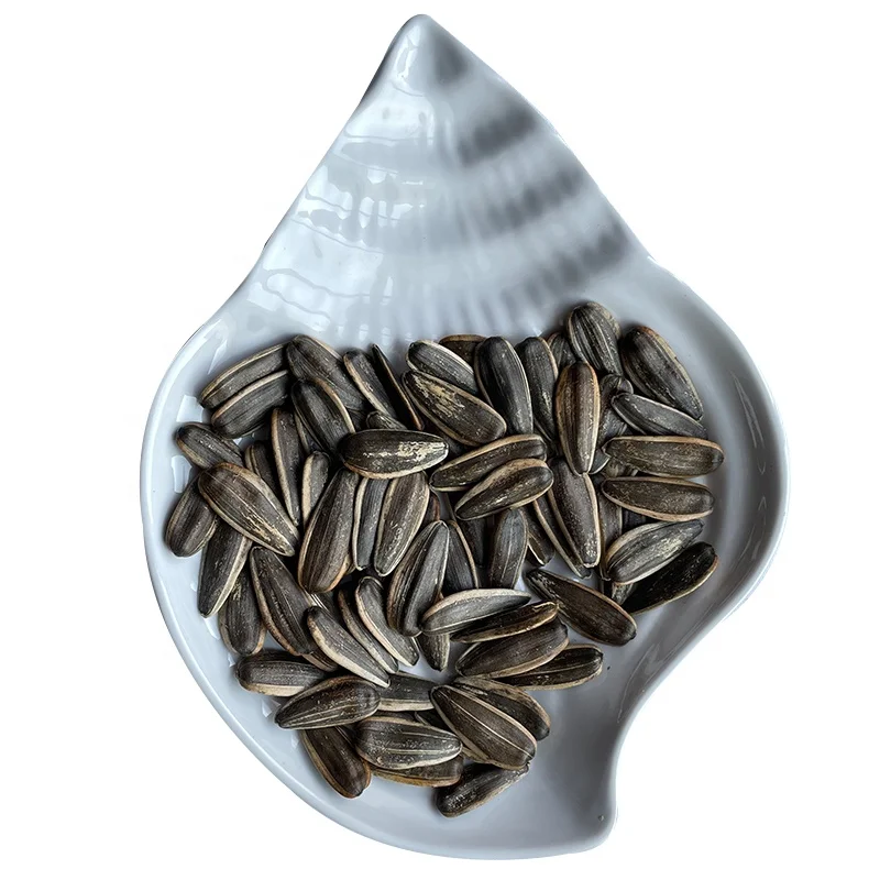 White Stripe Seeds sunflower that biggest size top quality from northwest China supplier