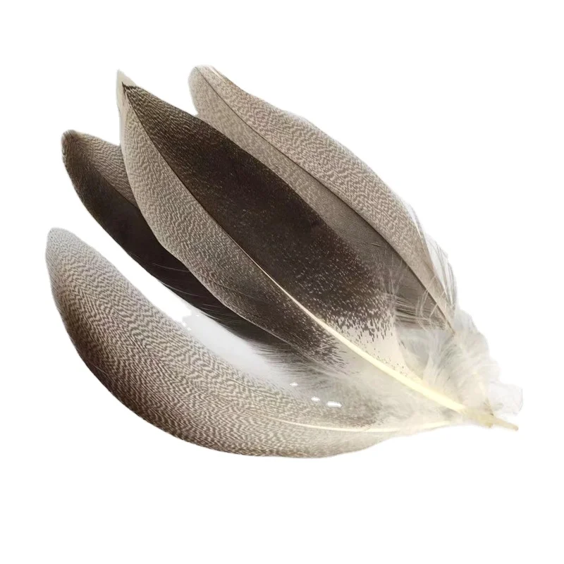 Оптовая продажа дешевые перья из утиного пуха гусиного для украшения