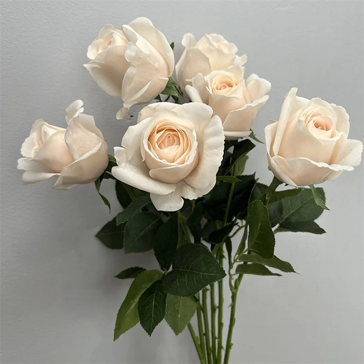 Hot Selling C-1223 Real Touch Artificial Single Stem Rose  Flower For Home Wedding Decoration