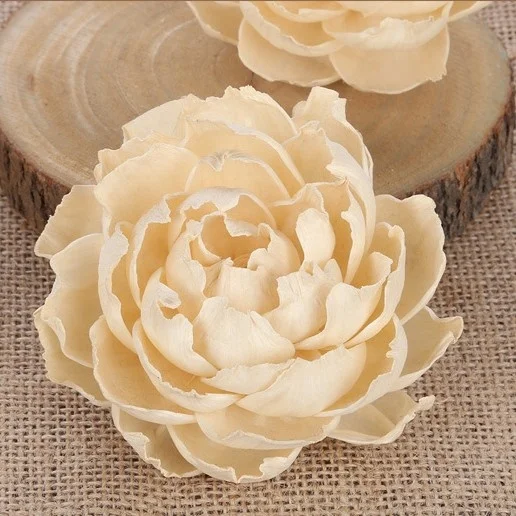 Multi-inventory Sola flower different shaped reed diffuser sola flowers wholesale sola wood flower with cotton wick