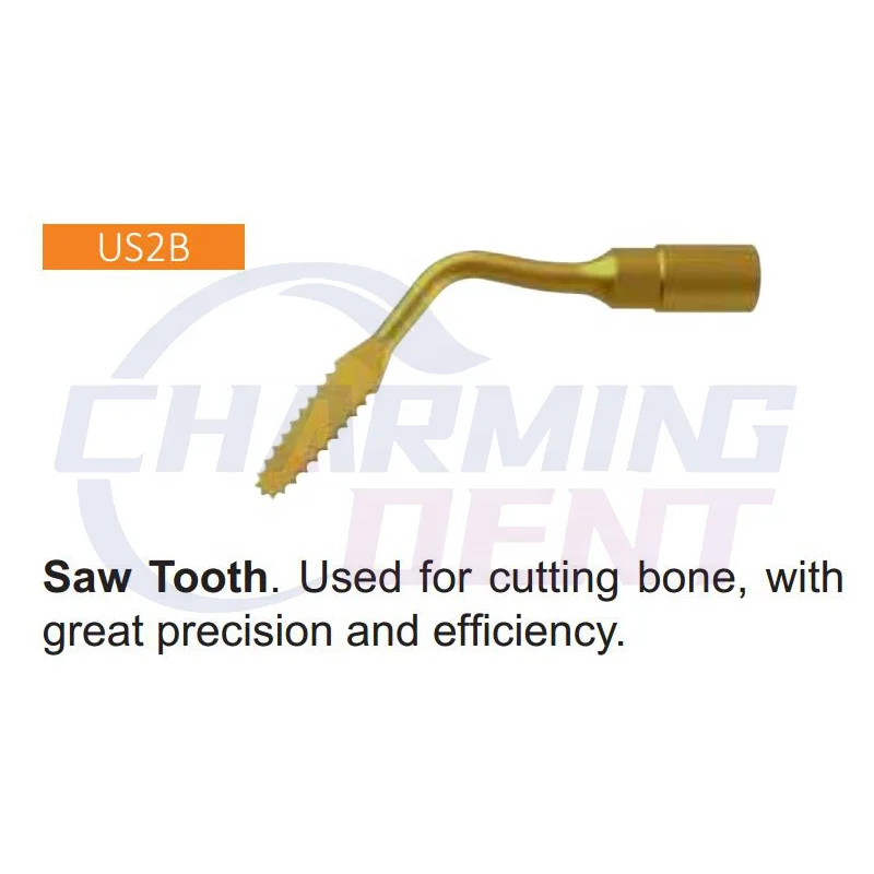 Dental instrument ultrasonic piezo bone surgery machine tips / Piezosurgery tips micro saw ultrasurgery insert