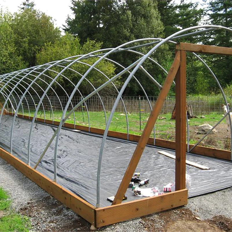 Single span PE Film greenhouse for Agriculture Low cost Galvanized steel Frame Tunnel greenhouse  for flowers plant