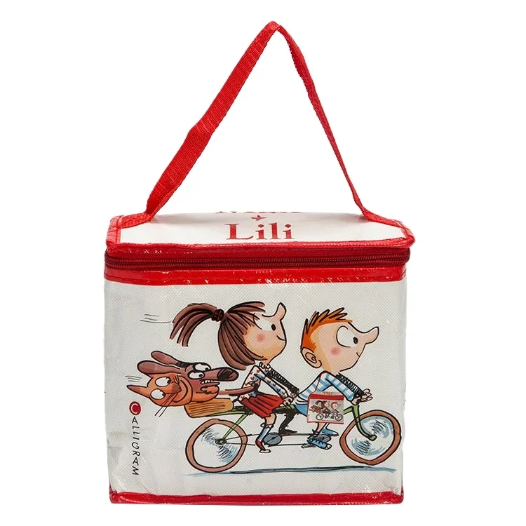 Custom printing children food lunch picnic bag pp woven cooler bag