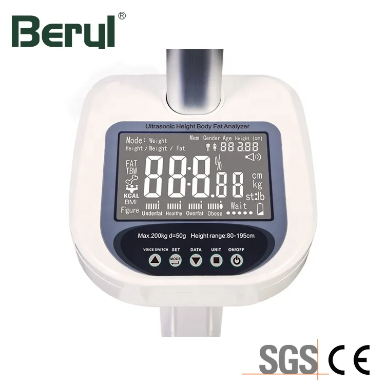 China Manufacturer Electronic Weight and Height Scale