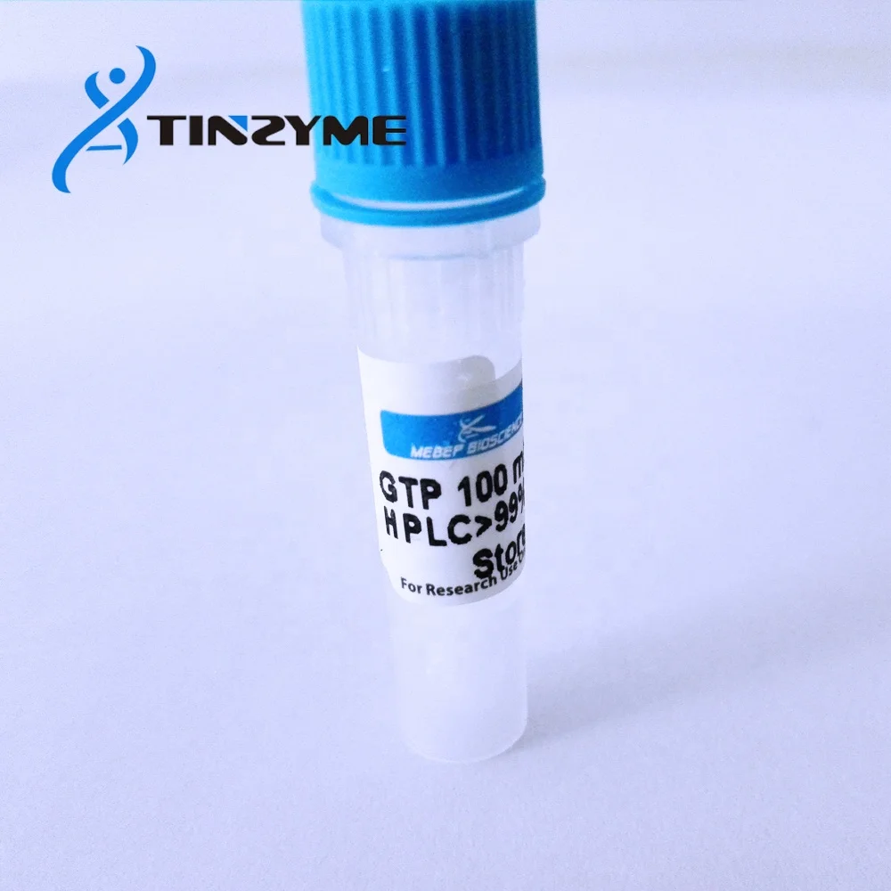 GTP 100mM solution rGTP Guanosine 5-triphosphate