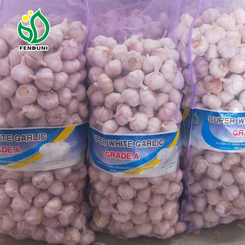Quality Fresh Normal White Galic Ajo Fresco Purple Garlic Red Garlic With 10kg/20kg mesh bag