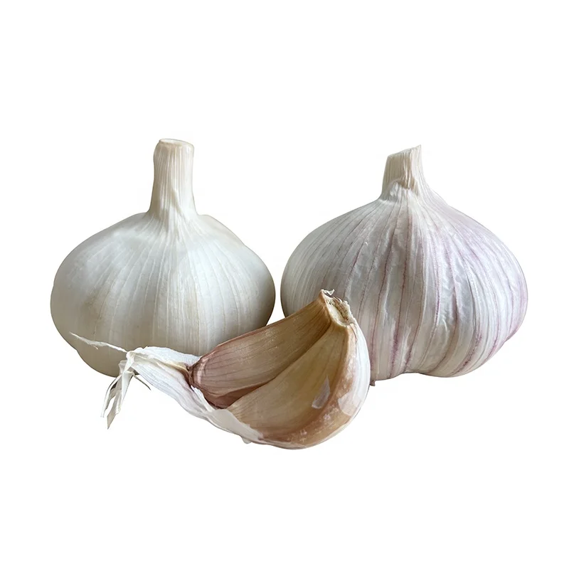 Import shan dong garlic 10kg box/2024crop with high quality