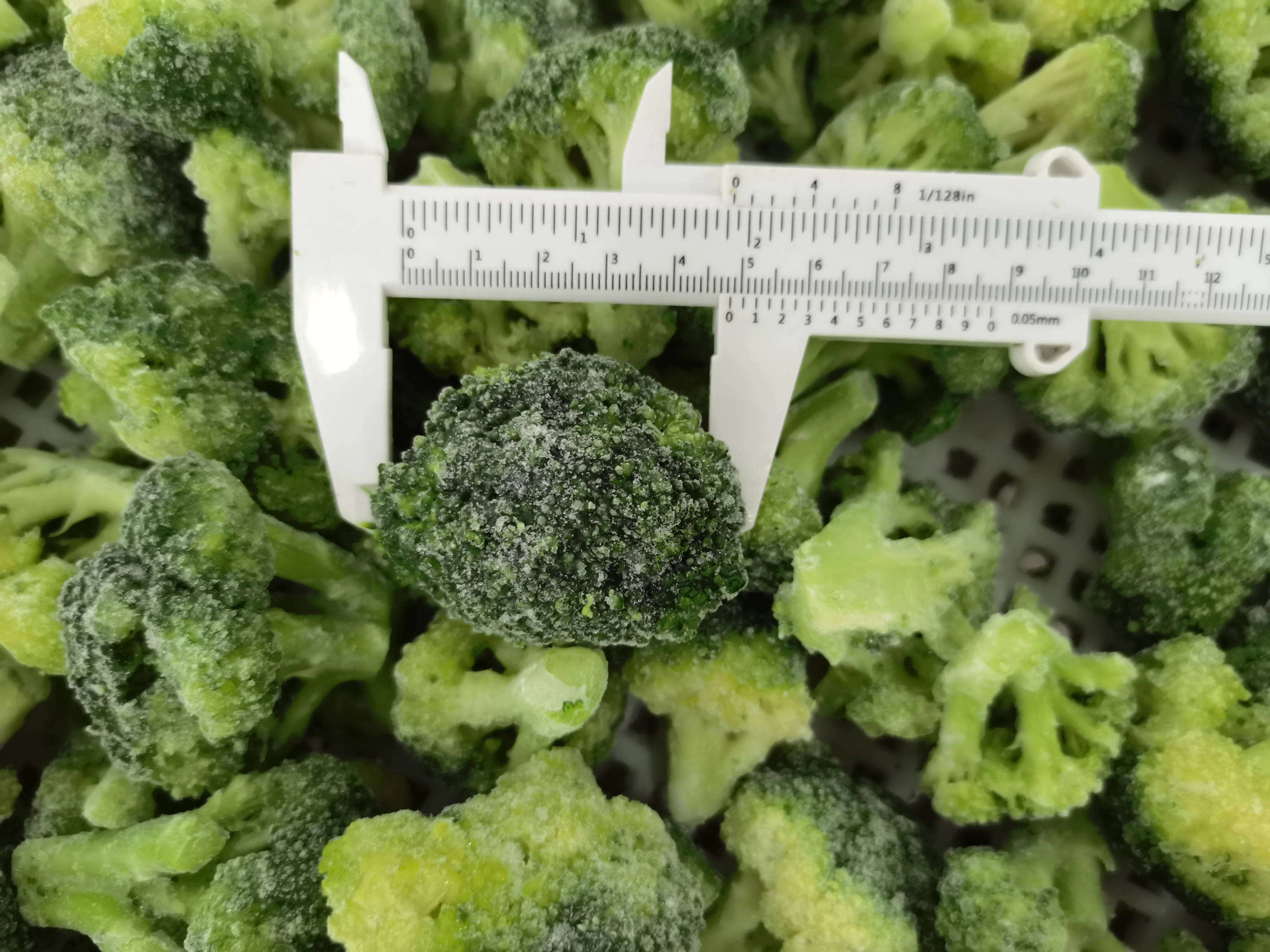 Hot Selling Good Quality Bulk Fresh Cauliflower Organic Vegetables Frozen Broccoli