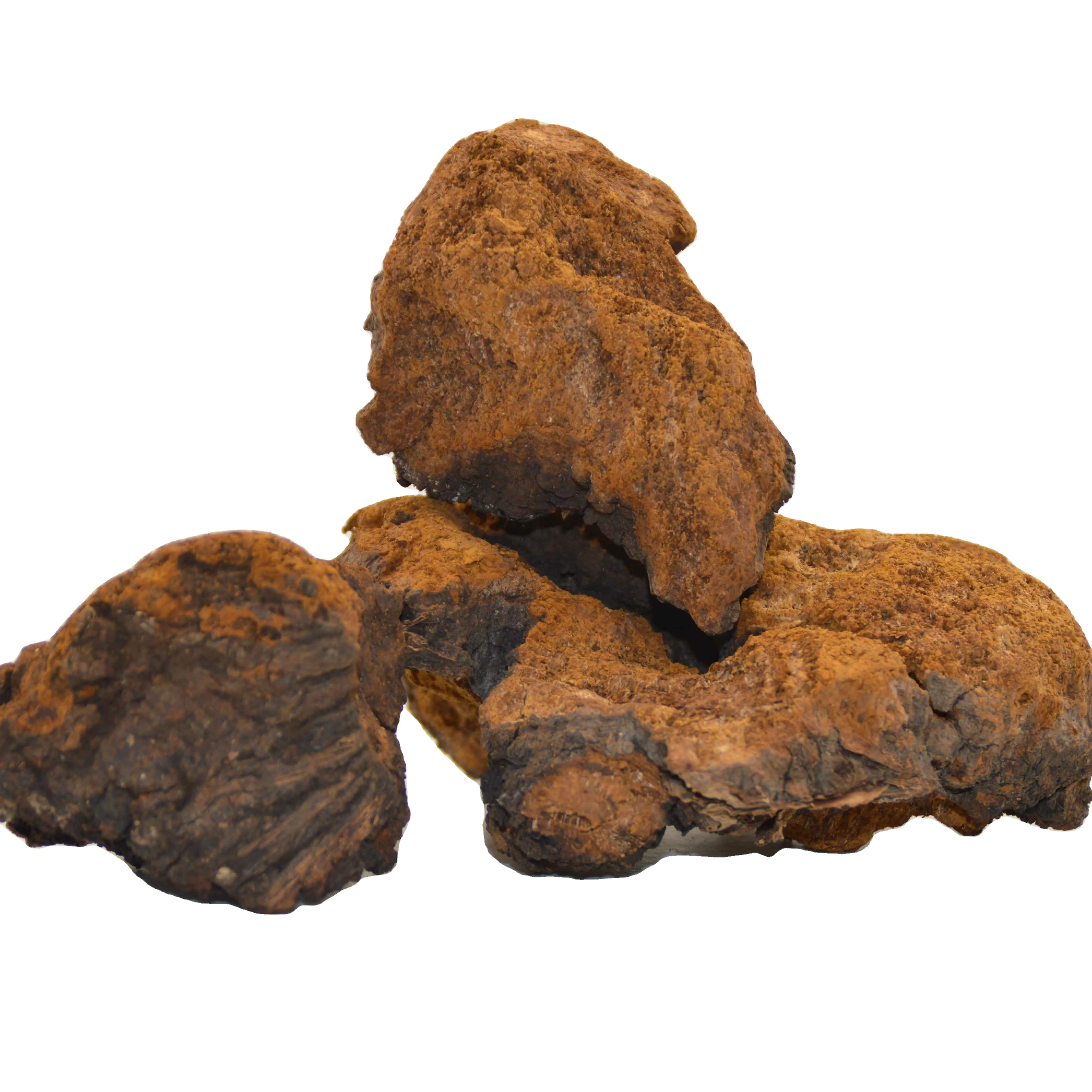 100% natural Chaga Mushroom/Inonotus Obliquus Extract