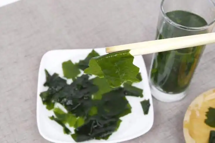 Wholesale extract Dark Green sushi Undaria Pinnatifida sargassum Organic seaweed Dried Fresh Seaweed