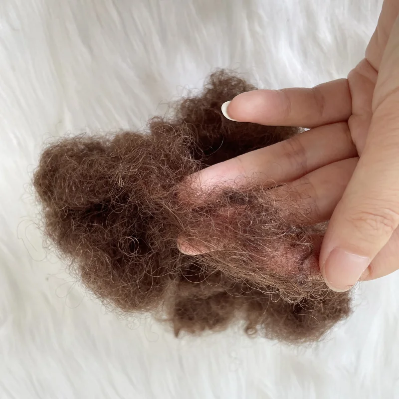 Wholesale Cheap 100% Human Hair 8inch 30g 50g Colorful Afro Kinky Curly Handmade Dreadlocks Extension Bulk