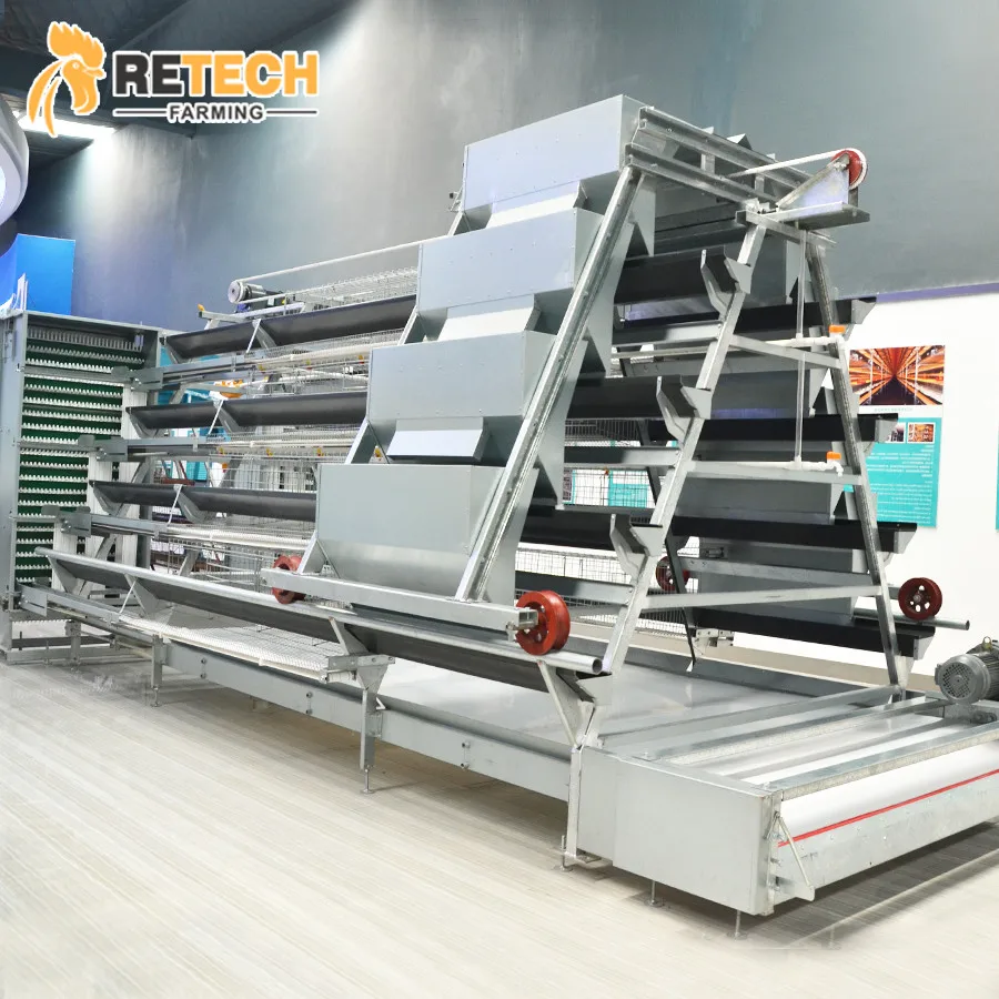 Good Design Poultry Shed Automatic Battery Layer Farm Chicken Cage for Sale