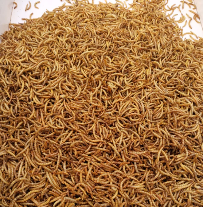 Сушеный мельница с высоким содержанием белка сушеный для небольших пищевых продуктов домашних животных