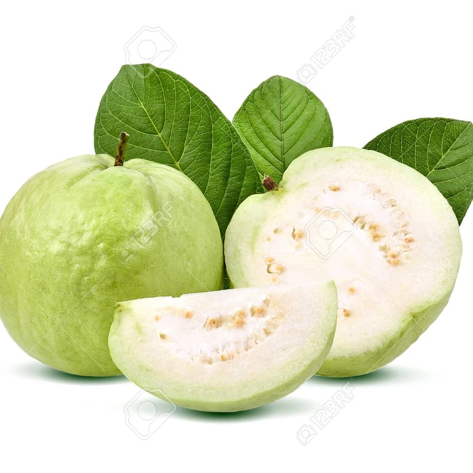 Fresh Guava Export Standard Price From Guava Fruit supplier in Viet Nam high quality competitive best price