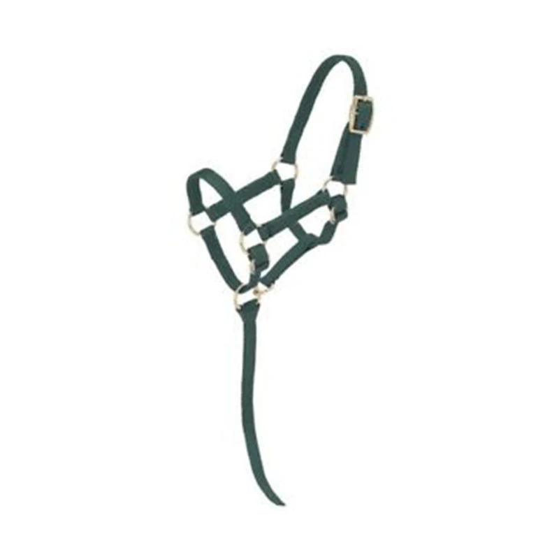 Adjustable Miniature Horse Halter Webbing Fully