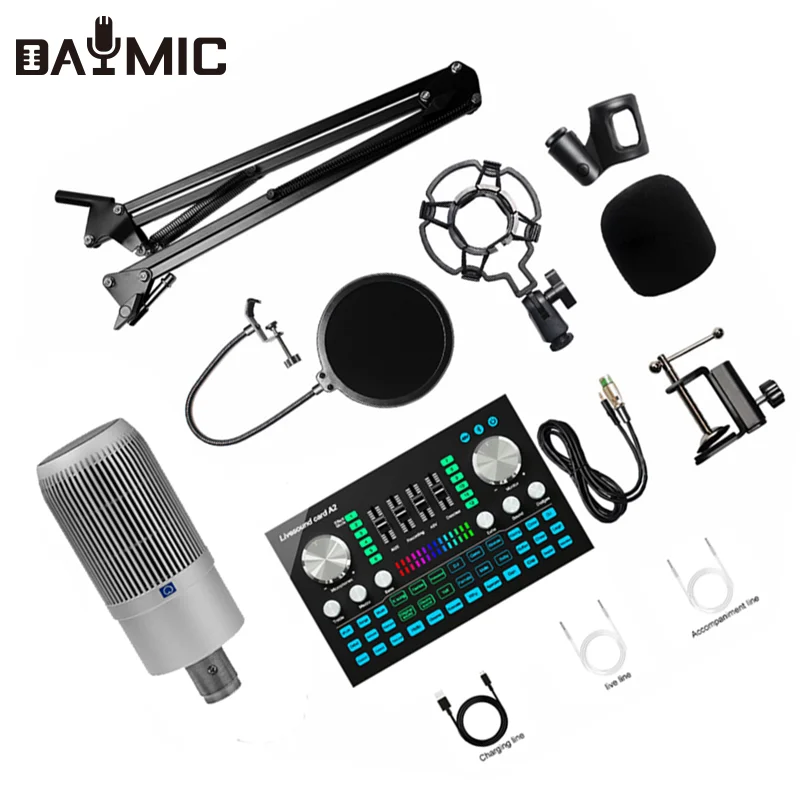 PRO mic-logo.png