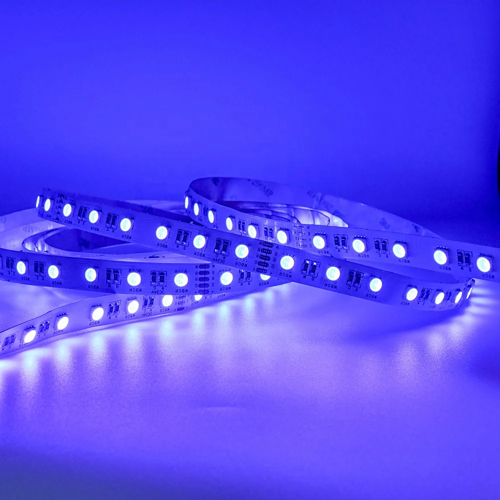 
2020 24V Strip Light RGBW wholesale Led Strip Light 10000K Led Strip 5050 