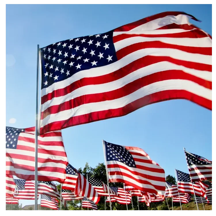 Kingson Top Quality Low Moq Design Promotional Advertise Polyester Banner Flag Cheap Large Custom Flag 3x5Ft