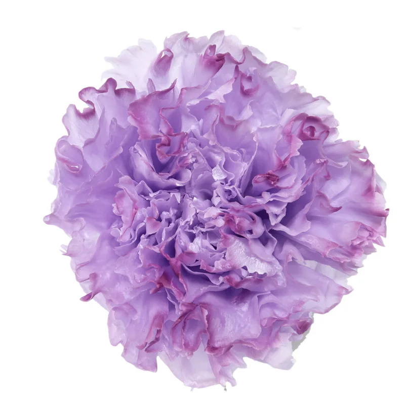 Preserved Eternal Carnations Heads Preserved Flowers Carnations 4~5cm Head The Stabilized Flower