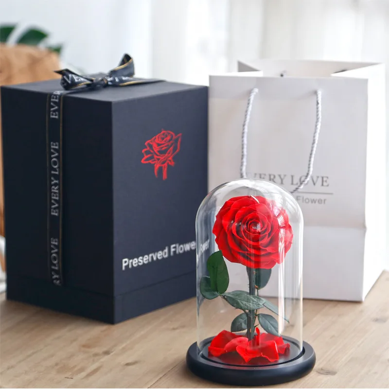 Wholesale Beauty Beast Enchanted Bella Rose preserved rose dome preserved rose in glass