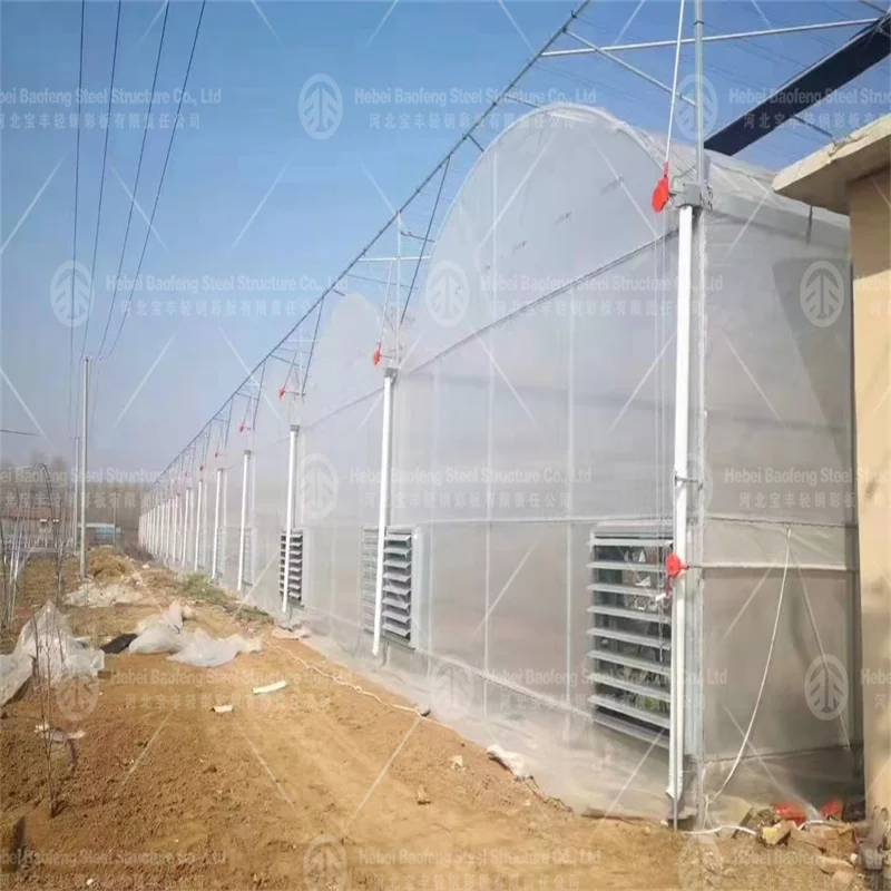 Low-Cost Tunnel Greenhouse for Efficient Crop Production