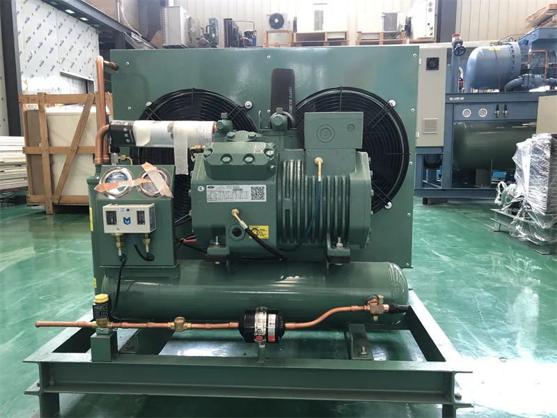 R404A 2P 3P 4P 5P Compressor Air Cooled Condensing Unit for Cold Freezer Room