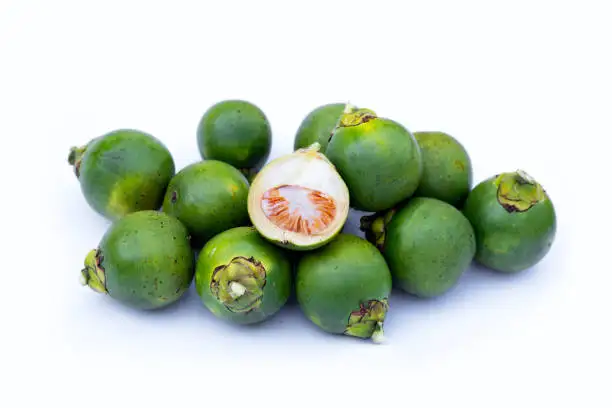 Betel Nut - high quality products - high prices in the market in 2023