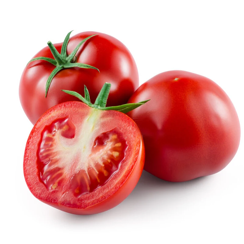 Wholesale Suppliers New Fresh Sweet tomatoes 100% Natural Cheap Price Sweet red tomatoes