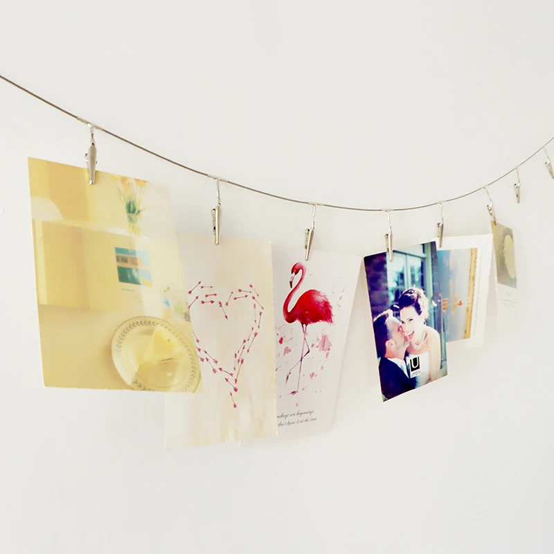 Multi-Purpose Steel Wall Hanging Photo Display Cable Wire Rod with 12 Adjustable Clips for Hanging Photos Notes Postcard