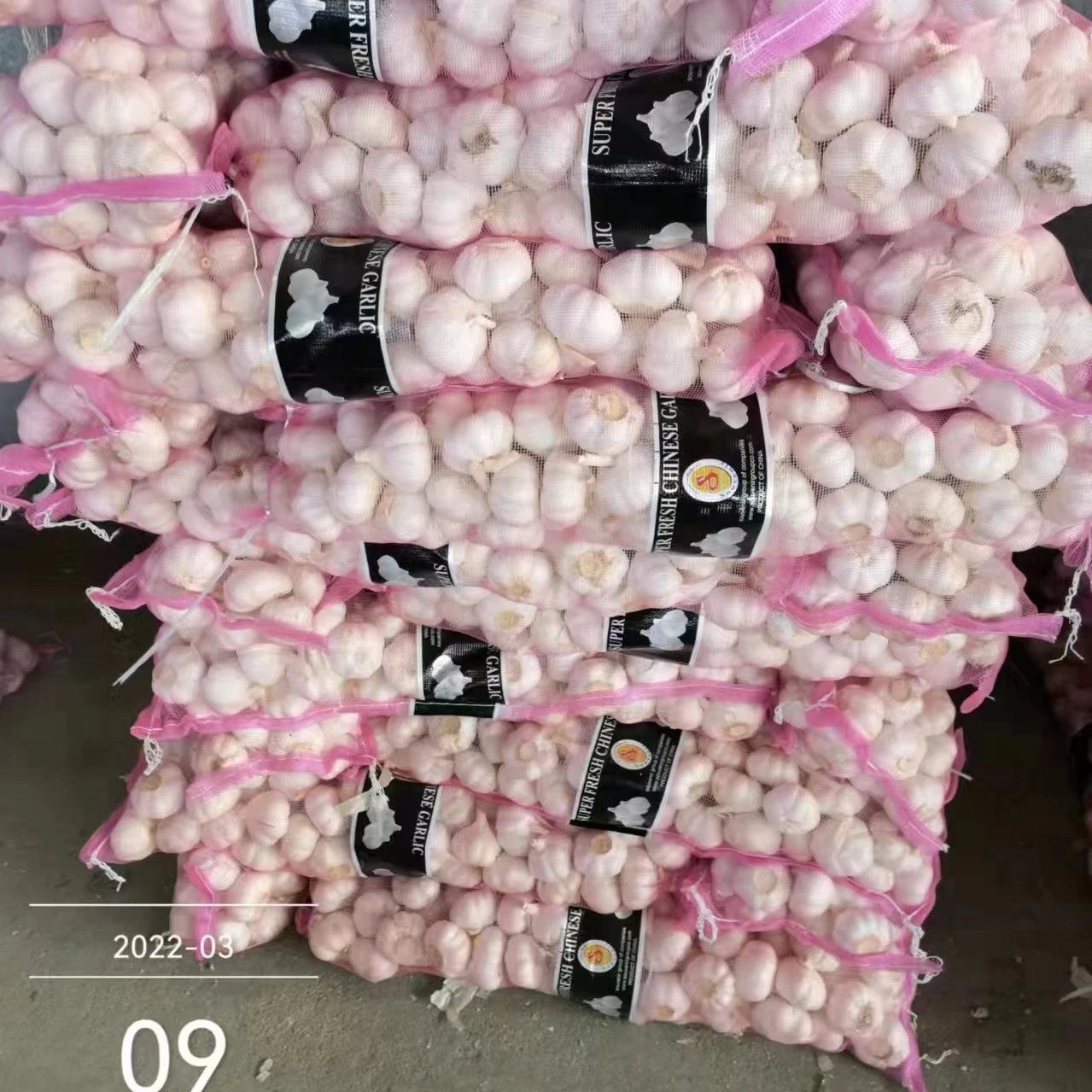 Wholesale Garlic White Fresh Garlic