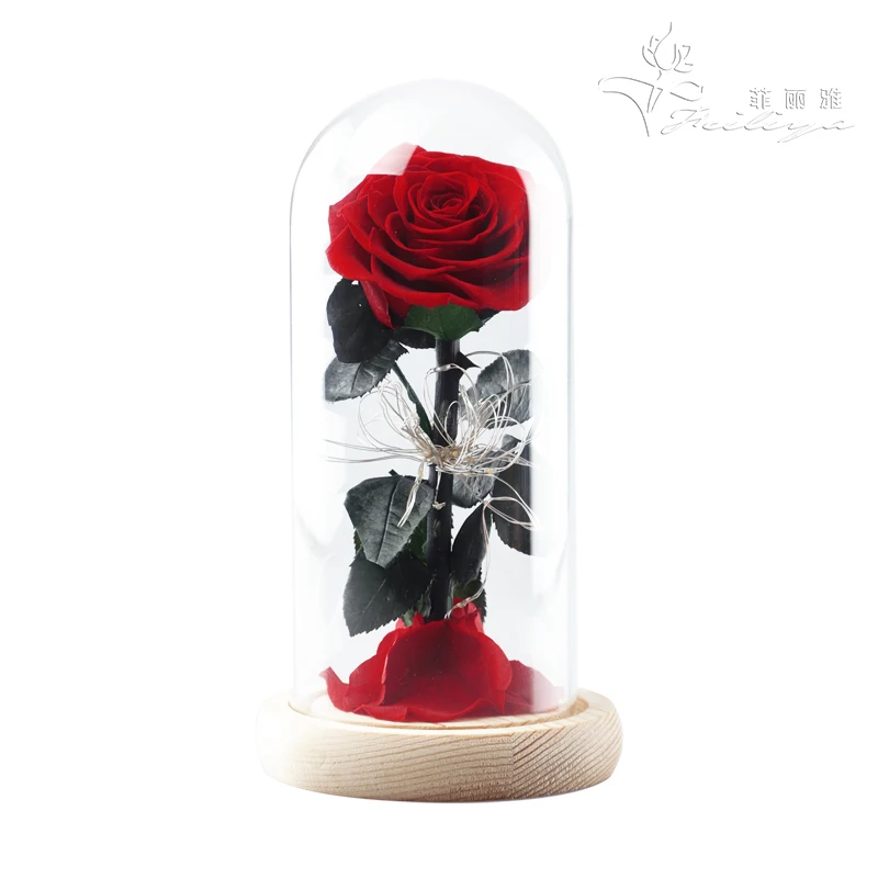 Amazon Hot Selling Competitive Price Preserved Rose in Glass Dome with Gift Box for Christmas Chinese New Year Box 2pcs 2021