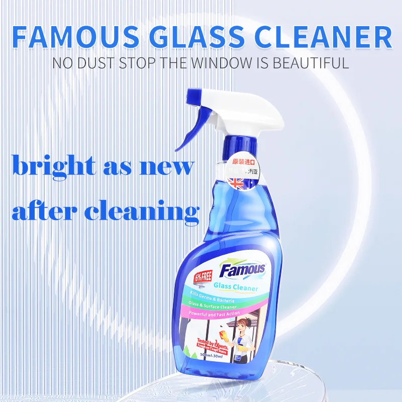 Famous Cleaner Windows Cleaner Magnetic Window Glass Wiper Cleaner best price