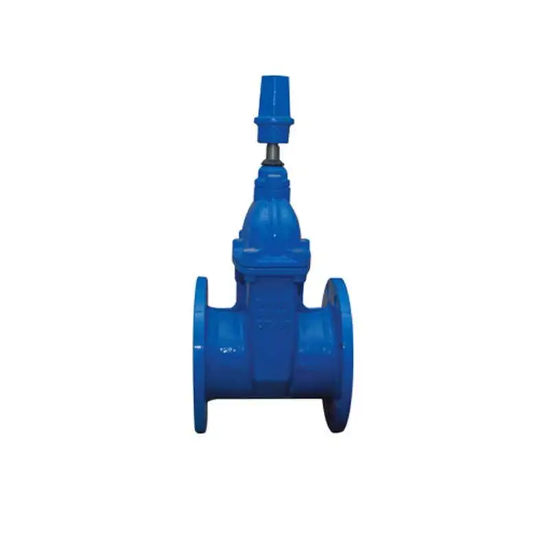 Customized Size Factory Quality Manual Turbine Resilient Seated Seal Gate Valve Non-Rising Stem Gate Valve Flange Gate Valve