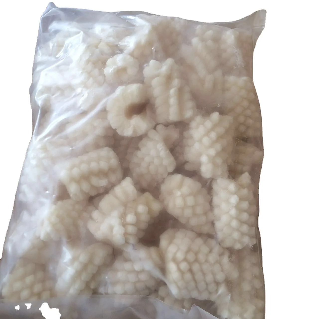 Frozen giant squid  flower