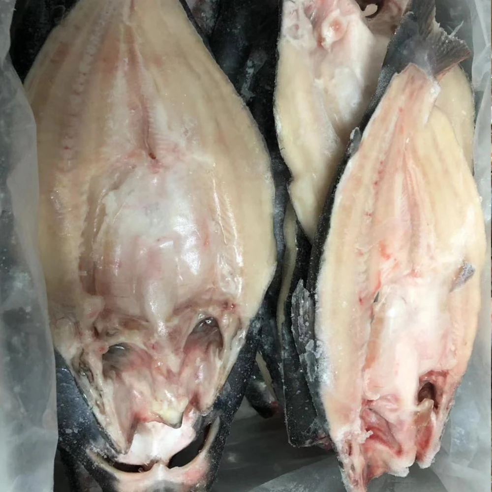 
STOCK BASA FISH VIETNAM FOR EU MARKET FROM MANUFACTURER WITH GOOD QUALITY AND FACTORY PRICE 