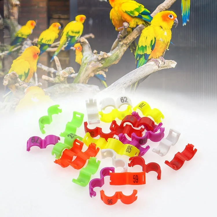 100pcs per bag bird foot ring opening clasp can be lettered with number plastic opening identification ring bird supplies clasp