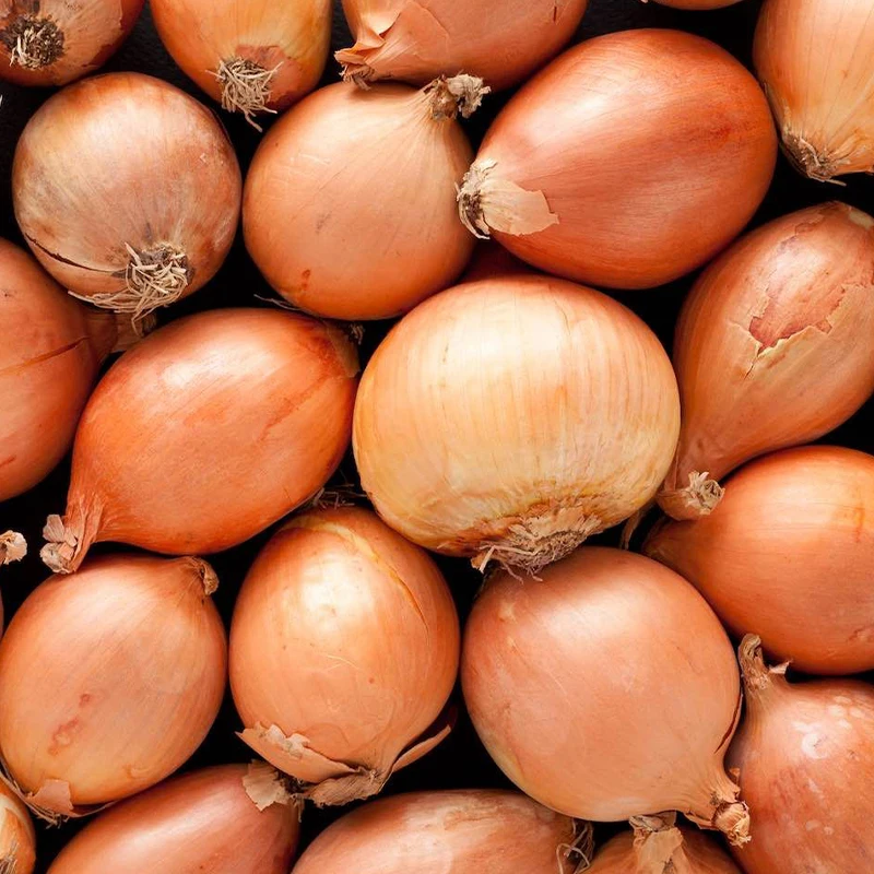 Spices Wholesale 100% Natural Frozen Onion Vegetable Whole Herbs Chinese Peeled Onions Granules Fresh Green Onion