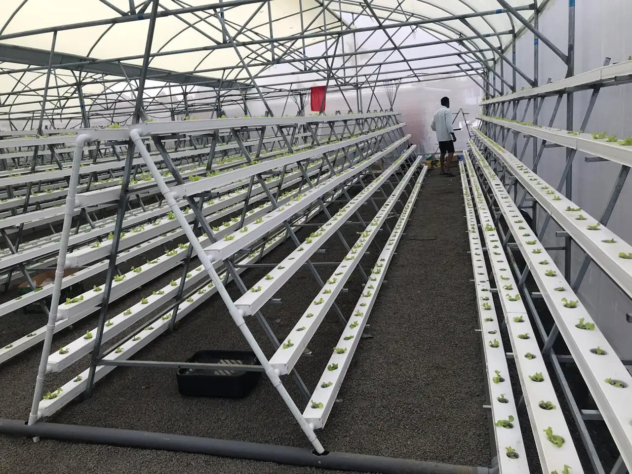 Хит продаж 2022 новый стиль Гидропоника для выращивания огурцов система каналов гидропоники NFT