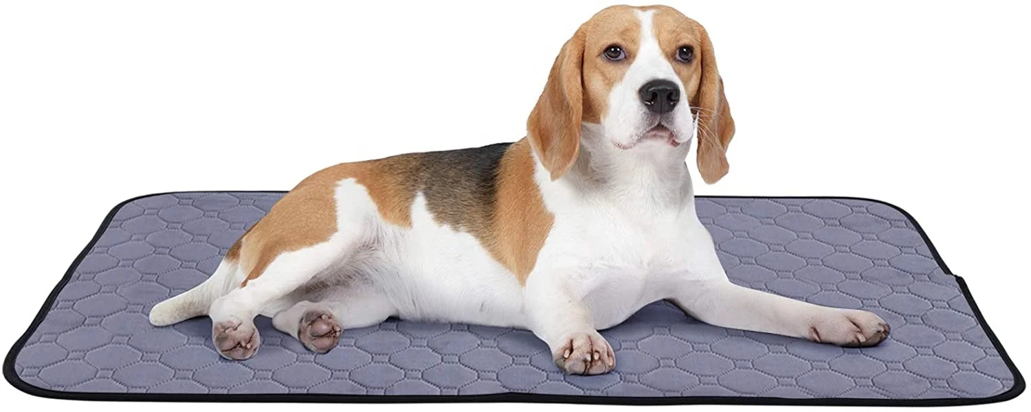 Pet Training Urine Pads Washable Water Absorb Waterproof Non-slip Mats For Cats And