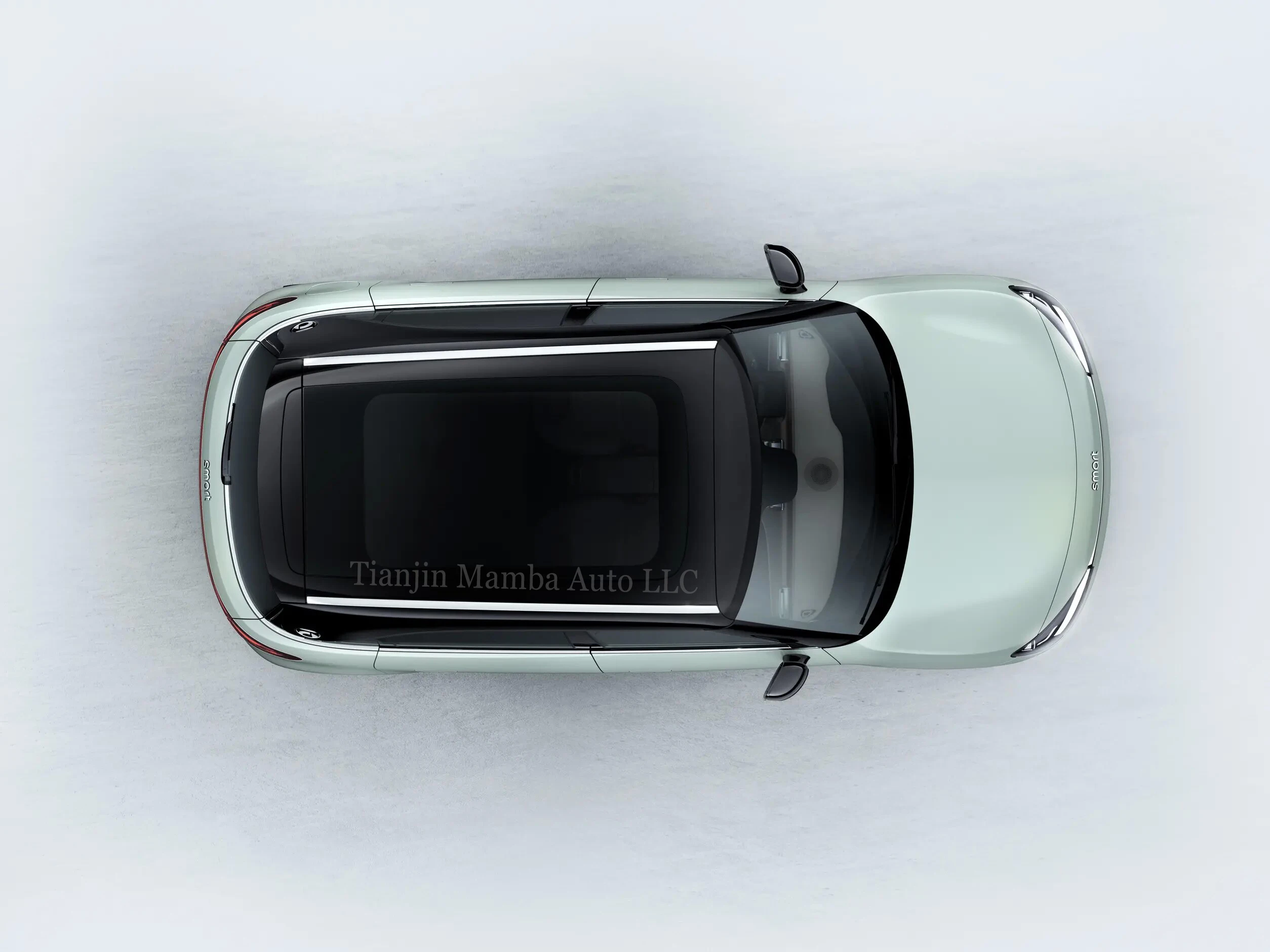 Mini Electric Car Smart Elf #1Five Seats Electric SUV New Energy Vehicles